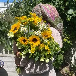 Schadiya